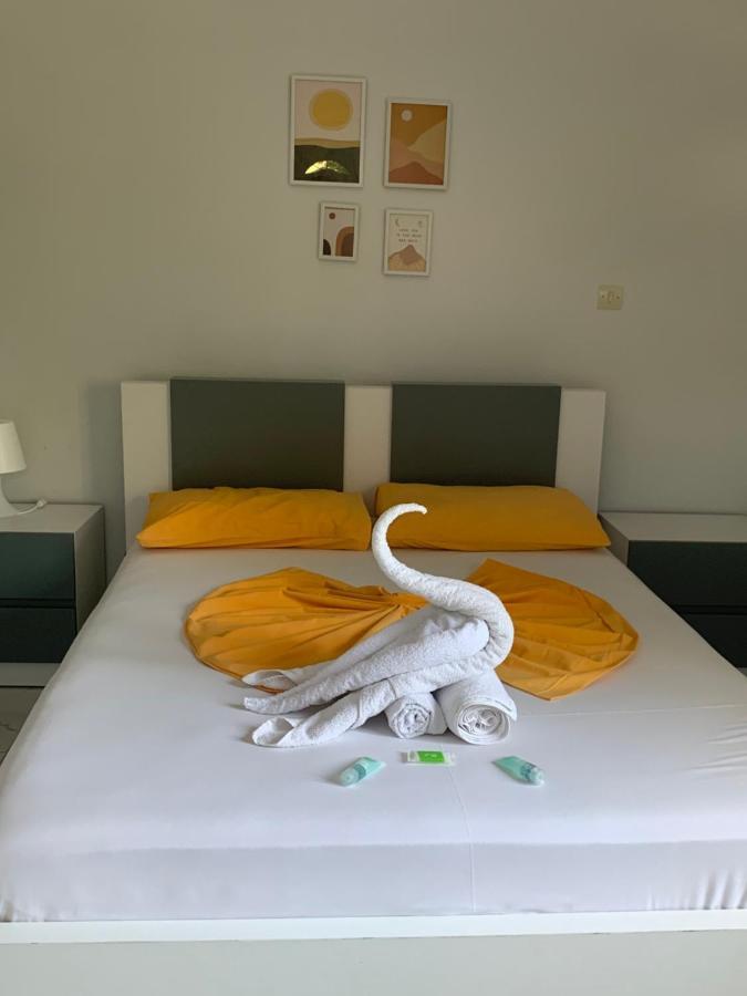 Hotel Potami Beach - Mondi Goro 希马拉 外观 照片